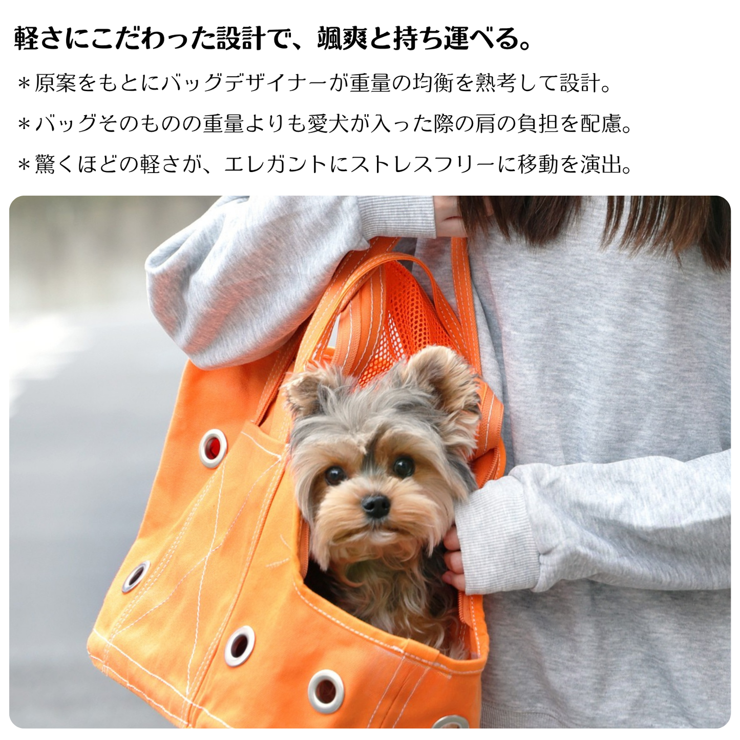 ほっこり巣穴キャリーバッグ：オレンジ色