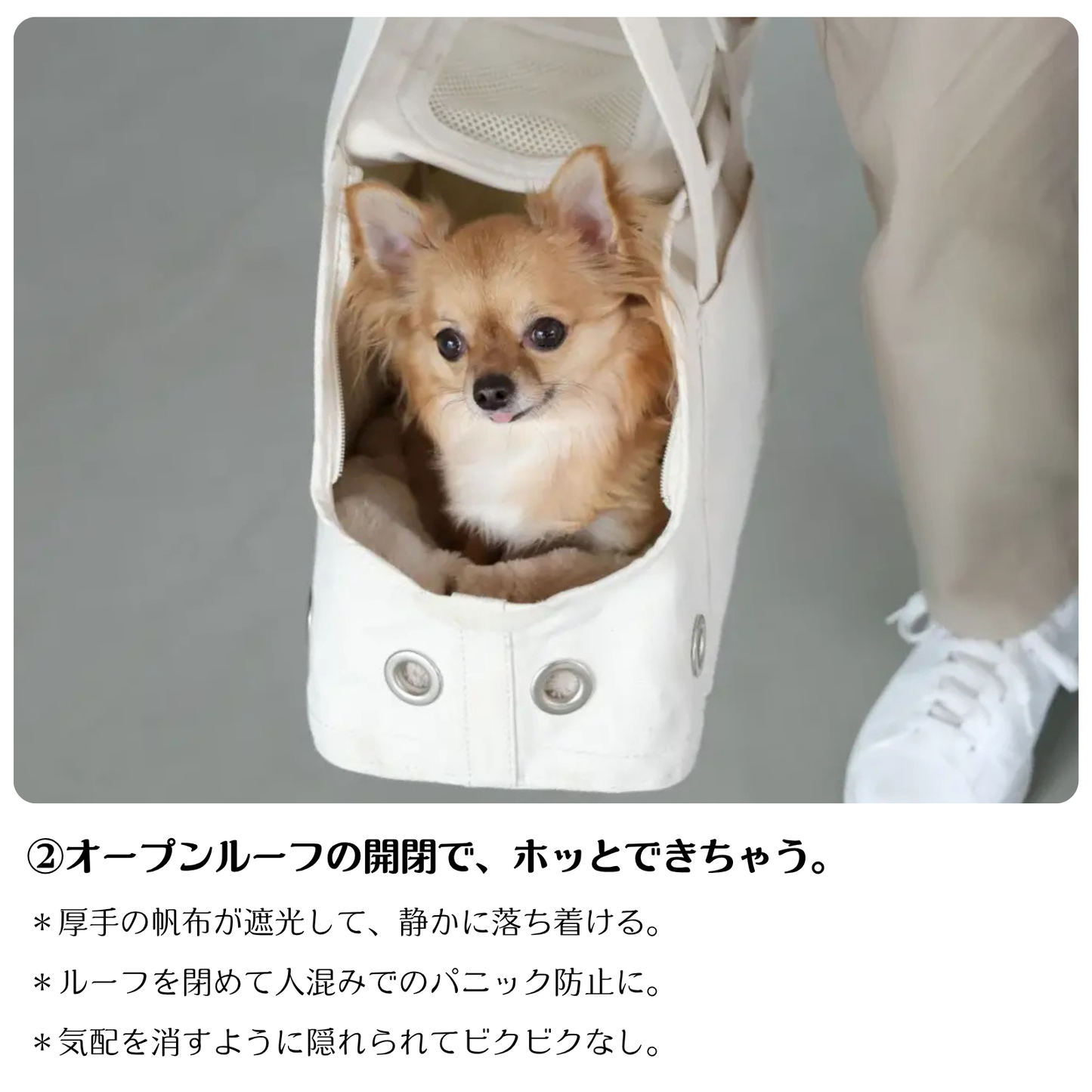 ほっこり巣穴キャリーバッグ：キナリ色