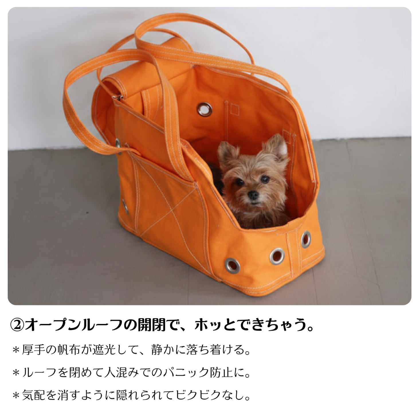ほっこり巣穴キャリーバッグ：オレンジ色
