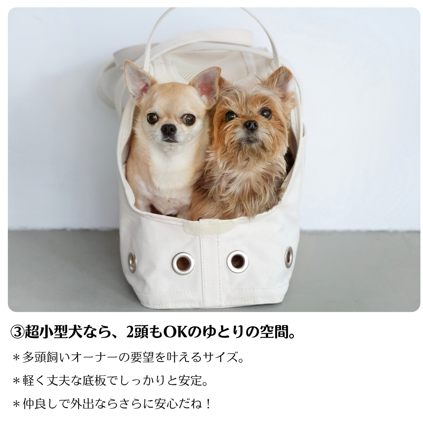 ほっこり巣穴キャリーバッグ：キナリ色